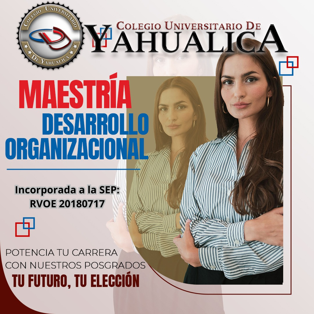 Desarrollo Organizacional